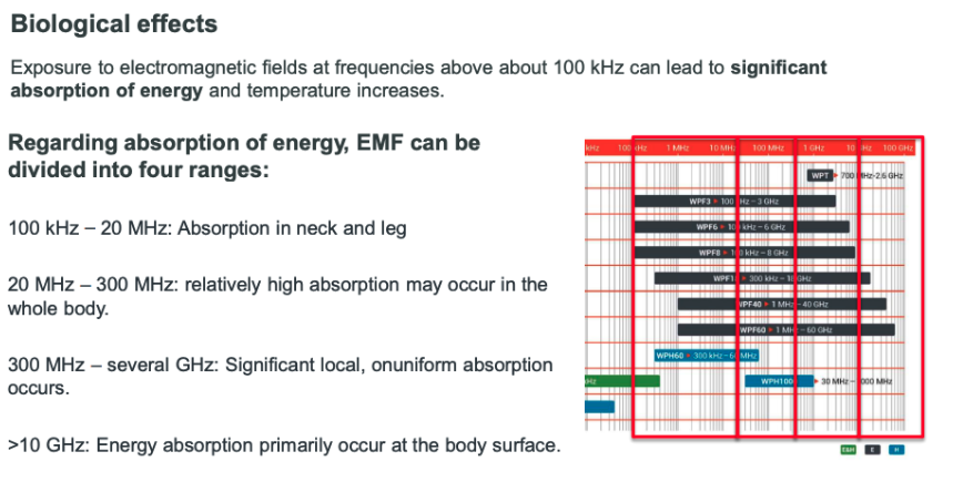 Biological effects of high frequency EMF fields