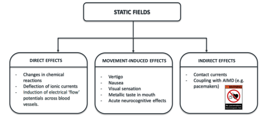 Health effects of exposure to static EMF fields