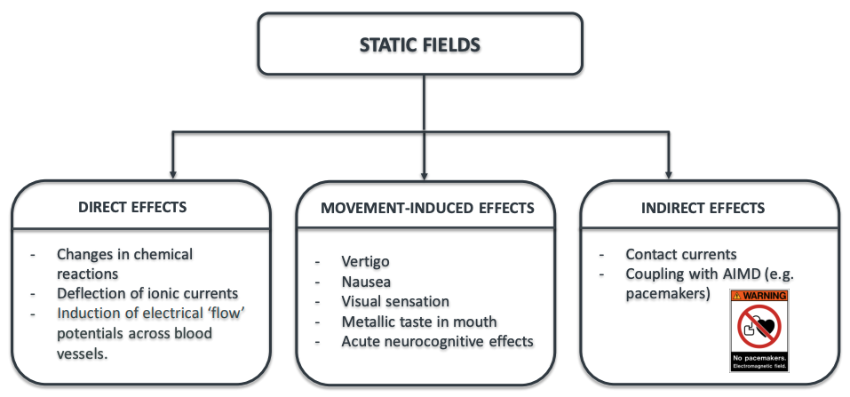 Health effects of static EMF fields